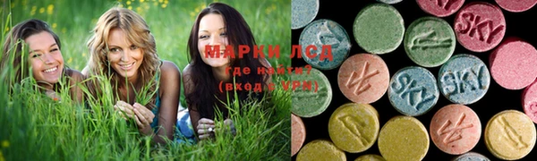 бошки Алзамай